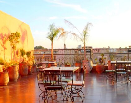 M14-terrasse10 Terrasse avec vue sur Palais elbadii